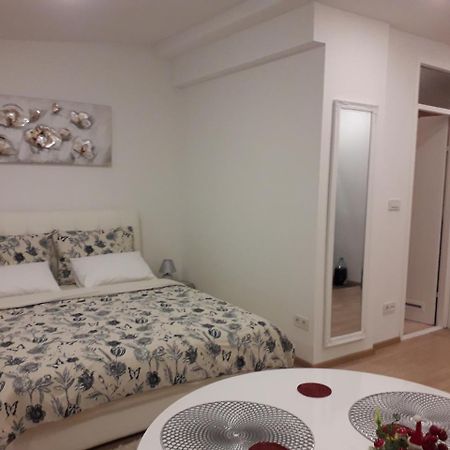 Apartman Mmvg Studio Zagreb Airport Velika Gorica Εξωτερικό φωτογραφία